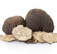 tartufi